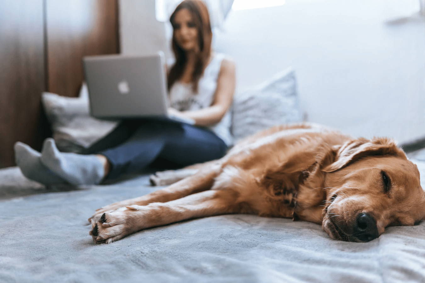 Is Telecommuting the Future? 5 Reasons why it should be.