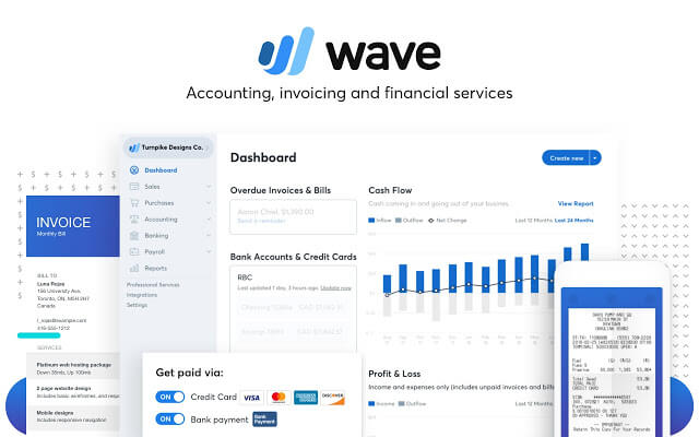 wave accounting screenshot via wave