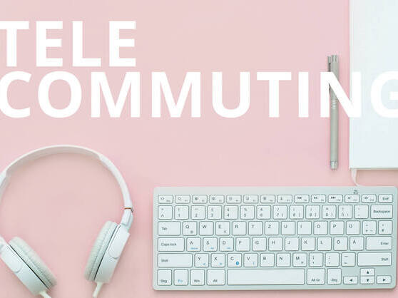 the ins and outs of telecommuting