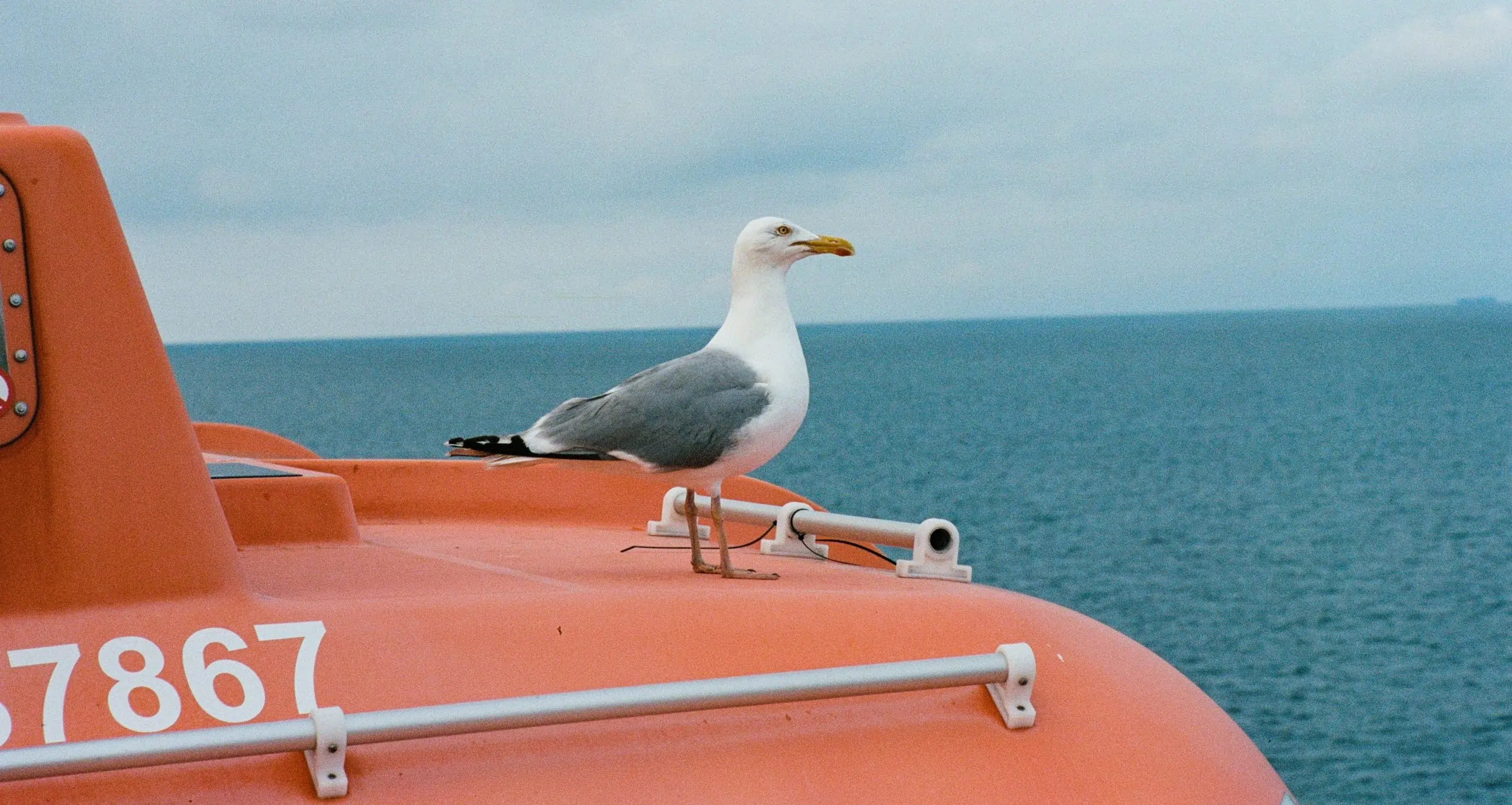 Transportation and Warehousing small business